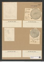 Coscinodiscus lacustris var. septentrionalis (Grun.) Rattr (de-Toni-Nr.: Genus 202, Species 5102) Zeichnungen Sammlung Grunow Nr. 8863 (NHMW-BOT-W0378499)